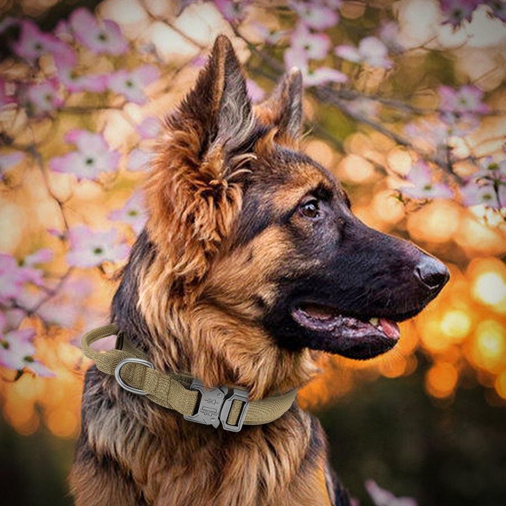 Collar de Perro Táctico Militar Ultra Reforzado