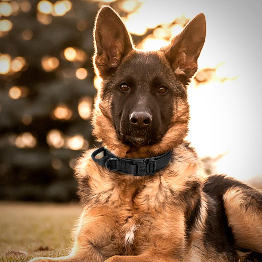 Collar de Perro Táctico Militar Ultra Reforzado